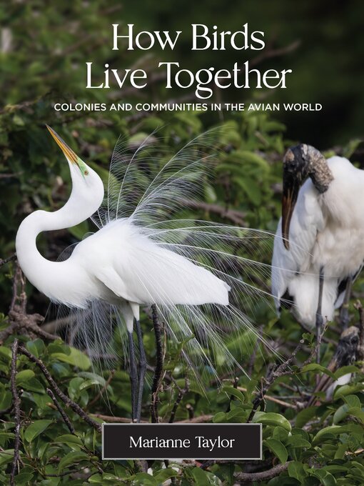Title details for How Birds Live Together by Marianne Taylor - Available